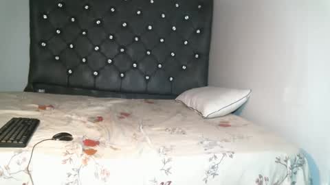 Snapshot of cock_addict183 chatting on 13, 11, 2025 Cock Addict online show from 13, 11, 2025