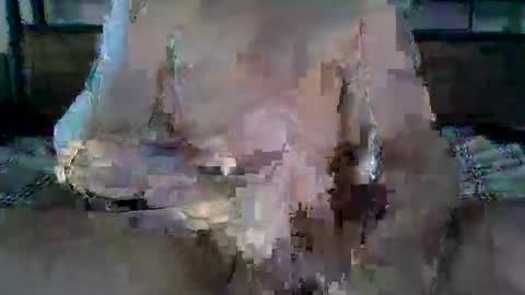 Snapshot of cockgpt chatting on 19, 4, 2026 Ethan Slade online show from 19, 4, 2026