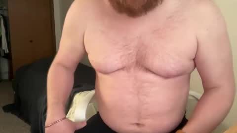 Pup Archer online show from 7, 3, 2026