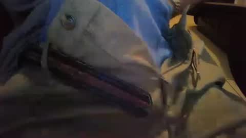 cocksmana online show from 19, 1, 2026