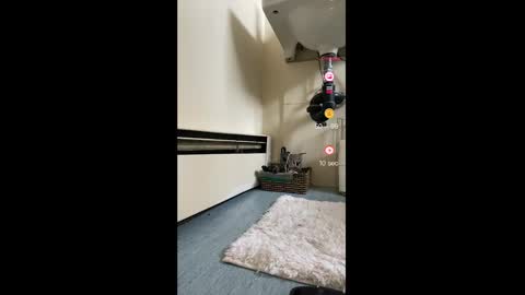 Snapshot of cocobluexo chatting on 12, 2, 2025 Ayla Astra online show from 12, 2, 2025