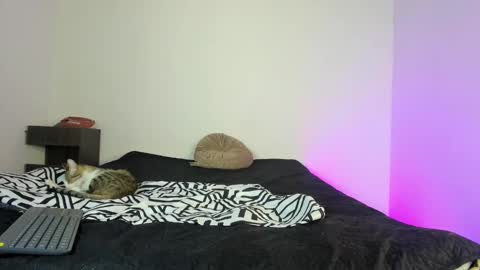 cody online show from 16, 11, 2025