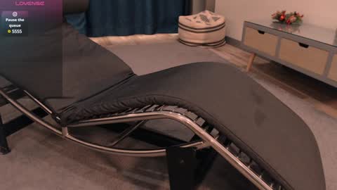 colossal_meidiland online show from 29, 12, 2024