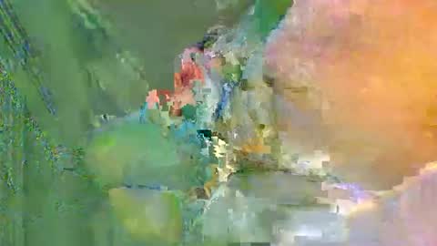 colourlight online show from 24, 11, 2025