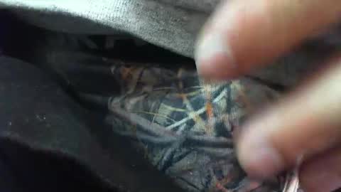 Snapshot of comox1961 chatting on 6, 3, 2025 comox online show from 6, 3, 2025