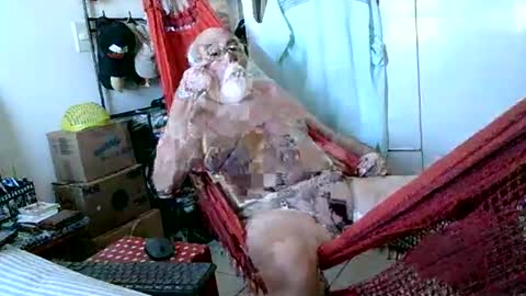 Snapshot of concris chatting on 10, 6, 2026 Paturi online show from 10, 6, 2026