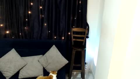 Snapshot of cony35 chatting on 10, 6, 2026 Sofi online show from 10, 6, 2026