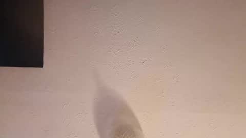 Snapshot of cooper_120805 chatting on 23, 9, 2025 cooper_120805 online show from 23, 9, 2025