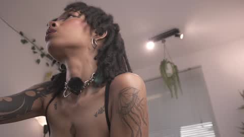 ROSELL 3   online show from 7, 11, 2025