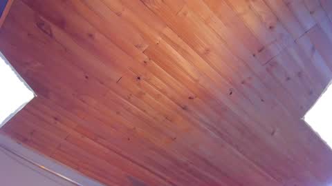 Coraline online show from 25, 1, 2025