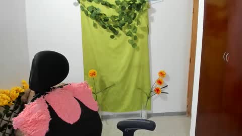 Ethan  online show from 28, 12, 2024