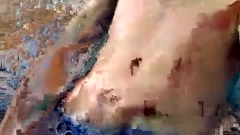 Kylenaughtybi89 online show from 10, 7, 2026