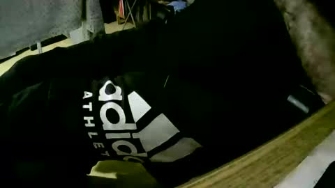 coyote017 online show from 24, 1, 2025