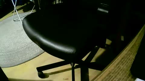 coyote017 online show from 25, 2, 2025