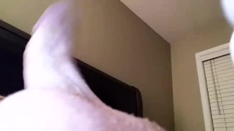 Snapshot of cranada777 chatting on 31, 12, 2024 Cranada777 online show from 31, 12, 2024