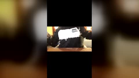 Curtis online show from 22, 3, 2026