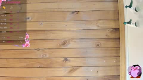 Cristal online show from 26, 10, 2025