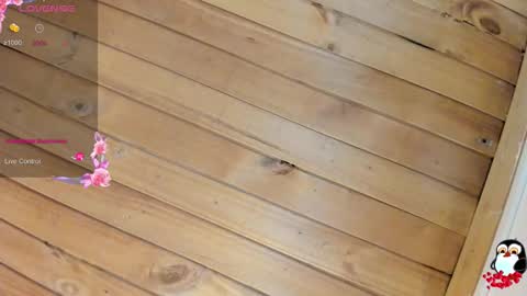 Cristal online show from 23, 2, 2026