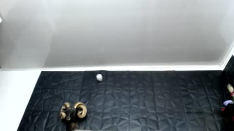 Snapshot of cristal_smith06 chatting on 12, 6, 2026 Hanna online show from 12, 6, 2026