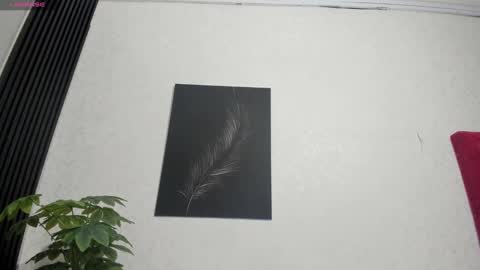 cristopher23  online show from 2, 2, 2025