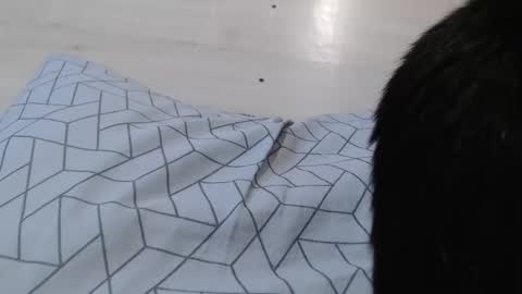 Snapshot of cristynaa36 chatting on 5, 11, 2025 cristynaa36 online show from 5, 11, 2025