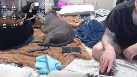 Crownandkat online show from 2, 3, 2026