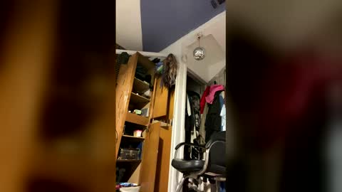 Snapshot of cumsinmealot chatting on 2, 2, 2026 Aprilia online show from 2, 2, 2026