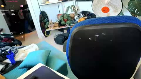 curiousgenie online show from 2, 3, 2026