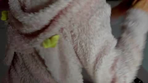 Antonia online show from 12, 11, 2025