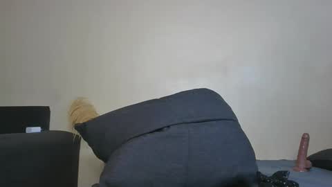 Snapshot of curry_nikita chatting on 20, 12, 2024 Nikita online show from 20, 12, 2024
