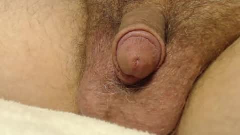 Snapshot of curve66 chatting on 22, 10, 2025 curve66 online show from 22, 10, 2025