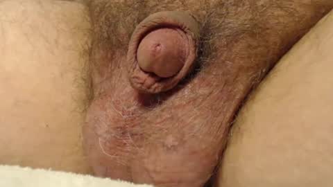 Snapshot of curve66 chatting on 17, 11, 2025 curve66 online show from 17, 11, 2025