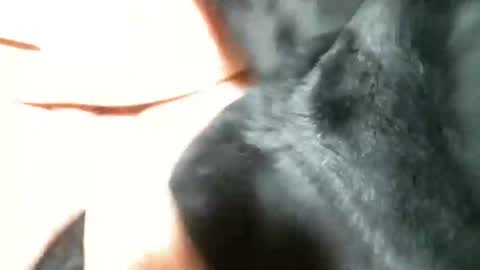 Snapshot of cutandwaxed2 chatting on 5, 3, 2025 BI SMOOTH MATURE  SUB online show from 5, 3, 2025