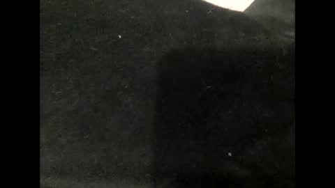 Snapshot of cutcockguy1975 chatting on 17, 12, 2024 Steve online show from 17, 12, 2024