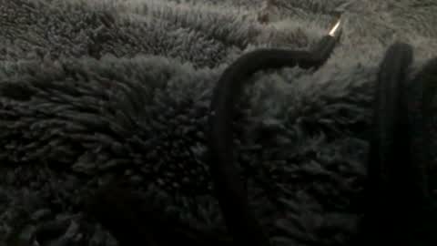 Steve online show from 23, 1, 2025