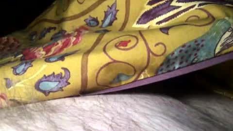 Snapshot of cutcockguy1975 chatting on 10, 2, 2025 Steve online show from 10, 2, 2025