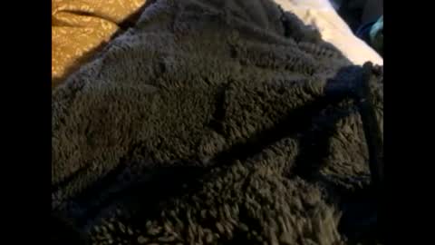 Snapshot of cutcockguy1975 chatting on 2, 3, 2025 Steve online show from 2, 3, 2025