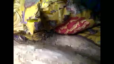 Snapshot of cutcockguy1975 chatting on 4, 3, 2025 Steve online show from 4, 3, 2025