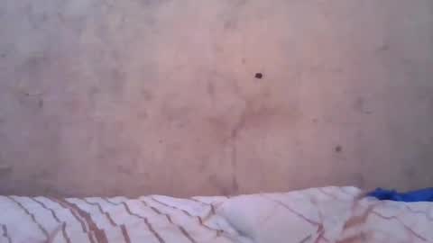 Snapshot of cute_divah4 chatting on 12, 6, 2026 cute_divah4 online show from 12, 6, 2026