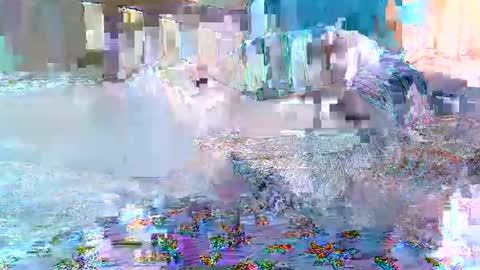 Snapshot of cute_savanna chatting on 11, 2, 2026 cute_savanna online show from 11, 2, 2026