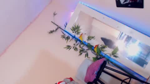 Snapshot of cute_ts_charlott chatting on 17, 12, 2024 danny online show from 17, 12, 2024