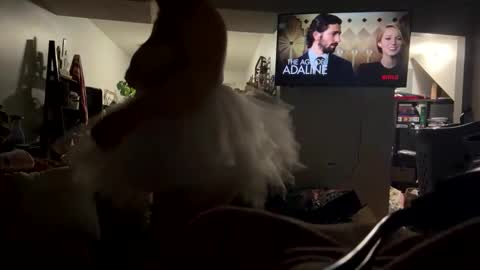 cutebananas online show from 17, 4, 2026