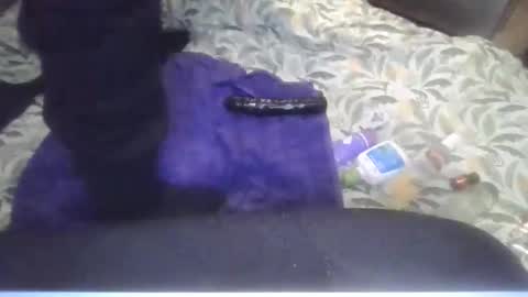 Snapshot of cutebuttbottom chatting on 1, 5, 2026 cutebuttbottom online show from 1, 5, 2026