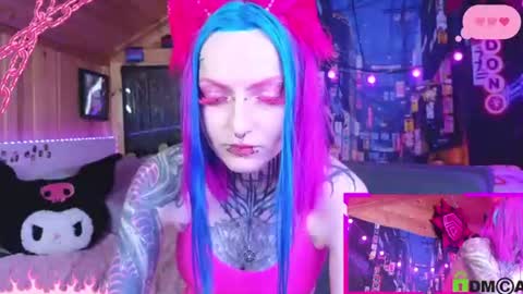 Neko online show from 25, 6, 2026