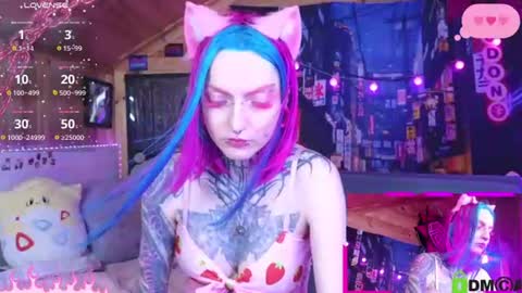 Neko online show from 2, 7, 2026