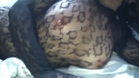 cyndy3393 online show from 21, 4, 2026