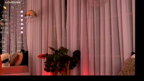 Ivy online show from 26, 9, 2025