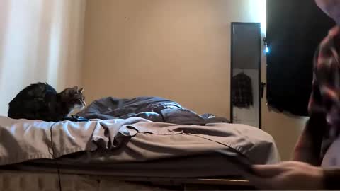 Snapshot of da_man411212 chatting on 19, 2, 2026 da_man411212 online show from 19, 2, 2026