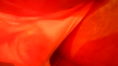 daaavy11 online show from 7, 11, 2025