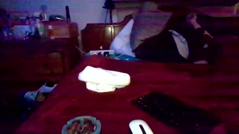 dabangaz4life online show from 22, 12, 2024